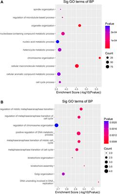 Analysis of N6-Methyladenosine Methylome in Adenocarcinoma of Esophagogastric Junction